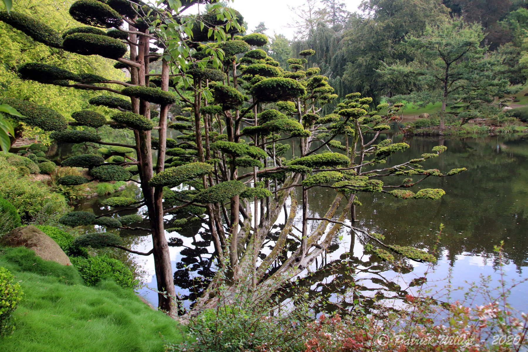 Parc Oriental, Maulevrier